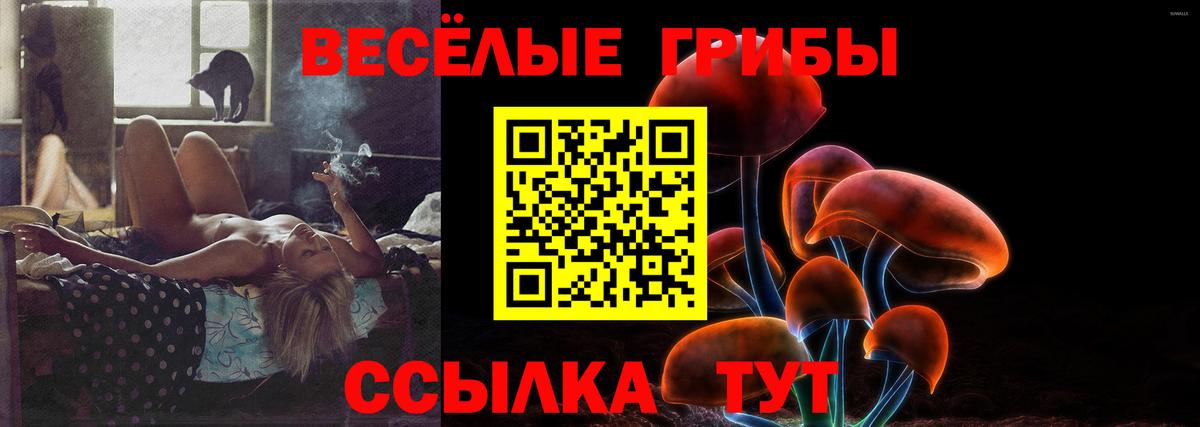 Саянск  Псилоцибиновые грибы Psilocybine cubensis  Вход с VPN 